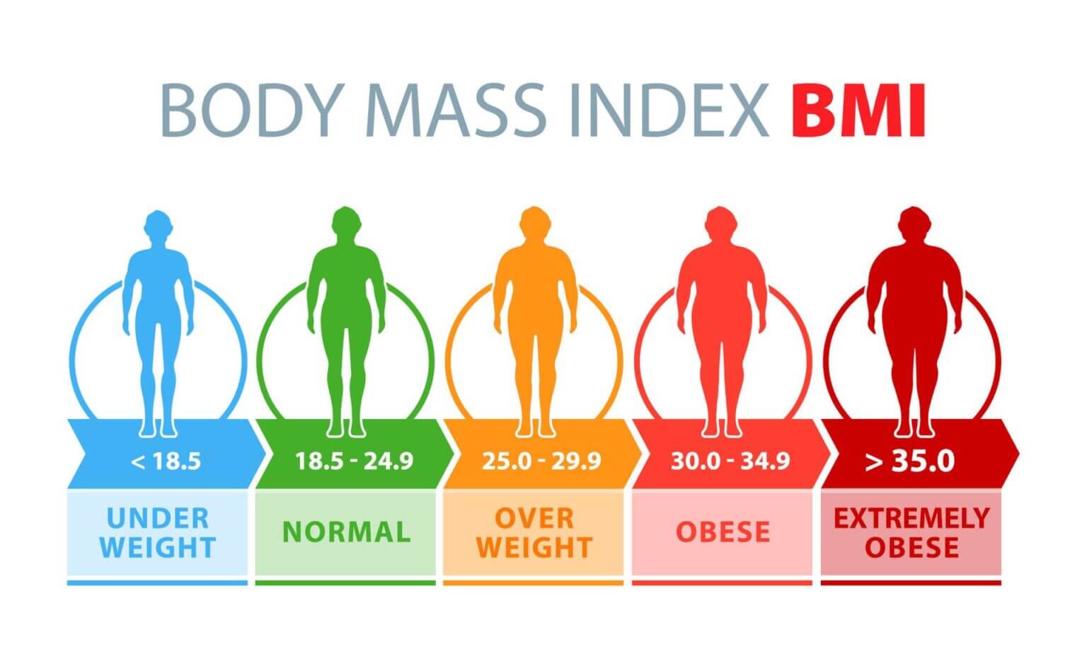 How to Measure Body Composition ?