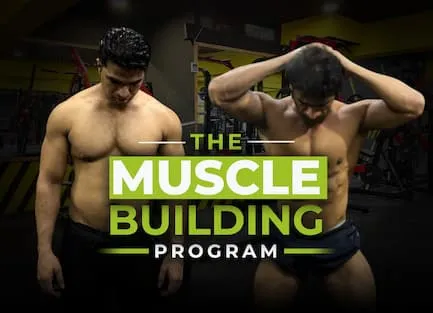 Program Build Body muscle-building-program